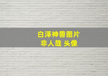 白泽神兽图片 非人哉 头像